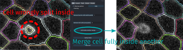 Merge cells inside another