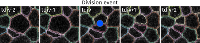 division_event
