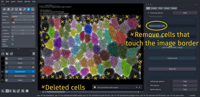Removing border cells